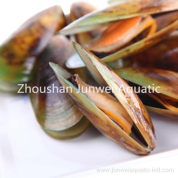 Fresh frozen green mussel